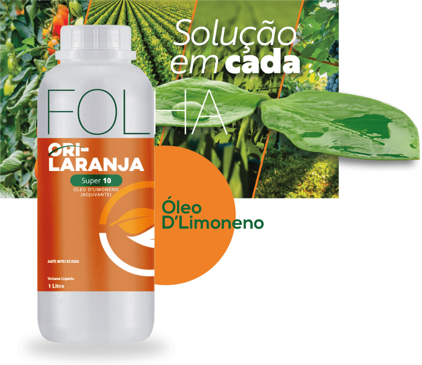 Embalagem-Ori-Laranja